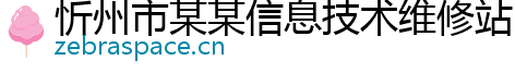 忻州市某某信息技术维修站